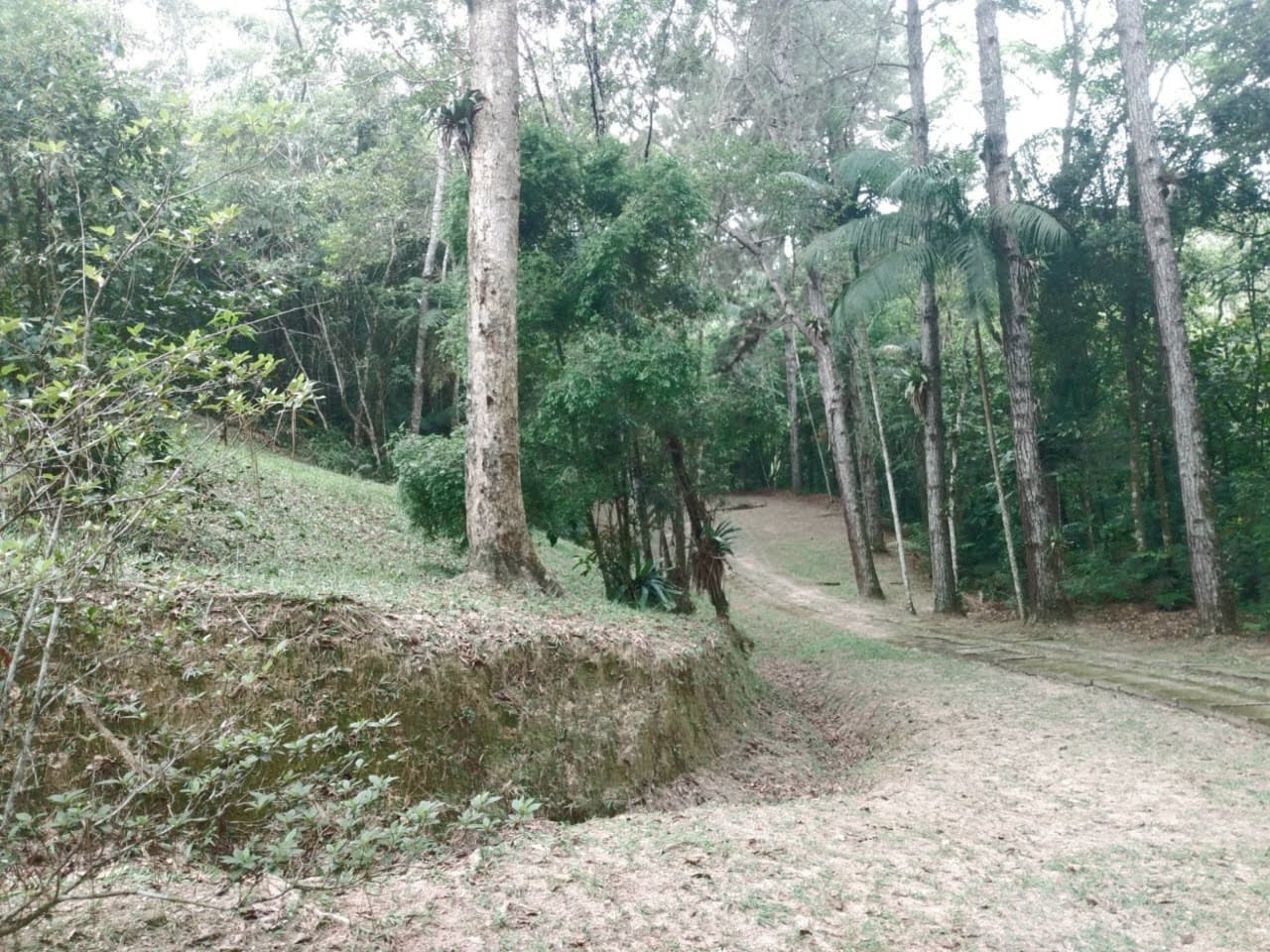 imagem do im�vel 768