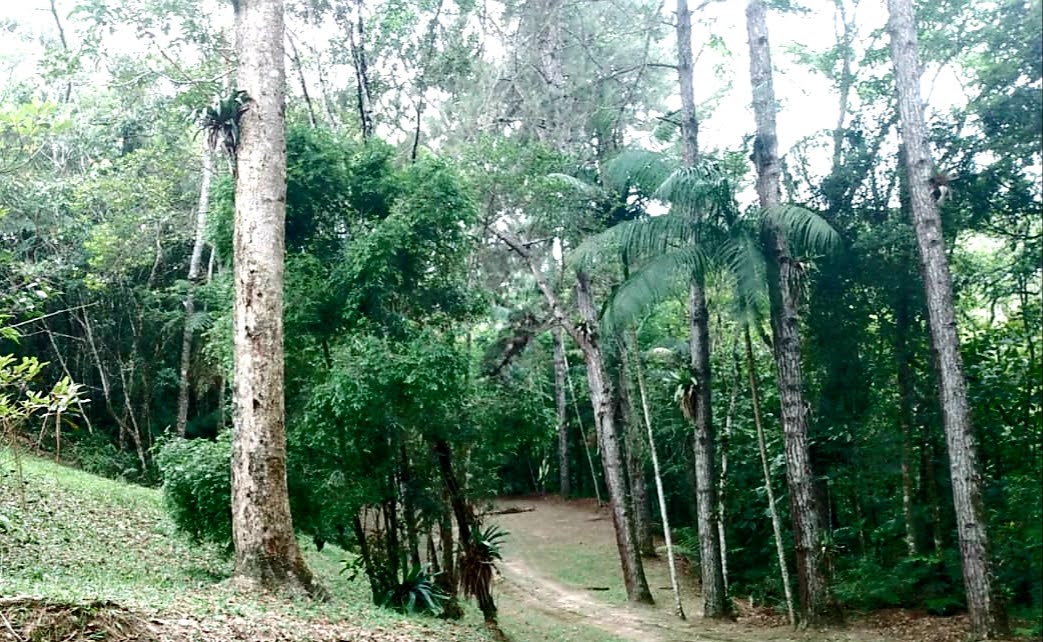 imagem do im�vel 768