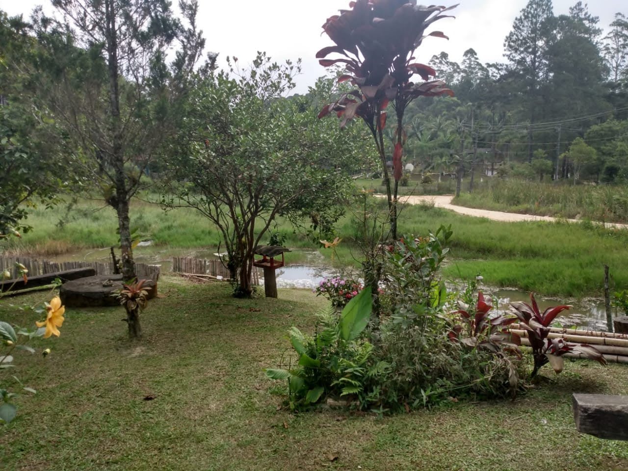 imagem do im�vel 768