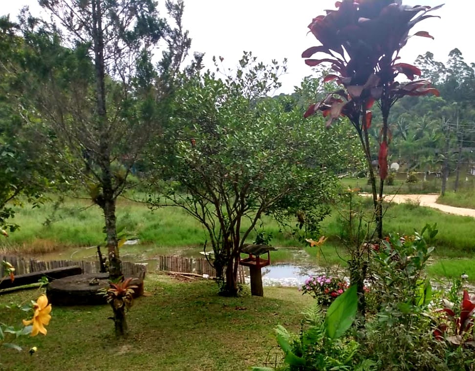 imagem do im�vel 768