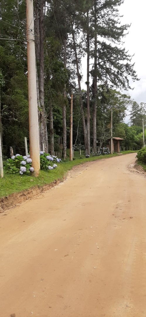 imagem do im�vel 768