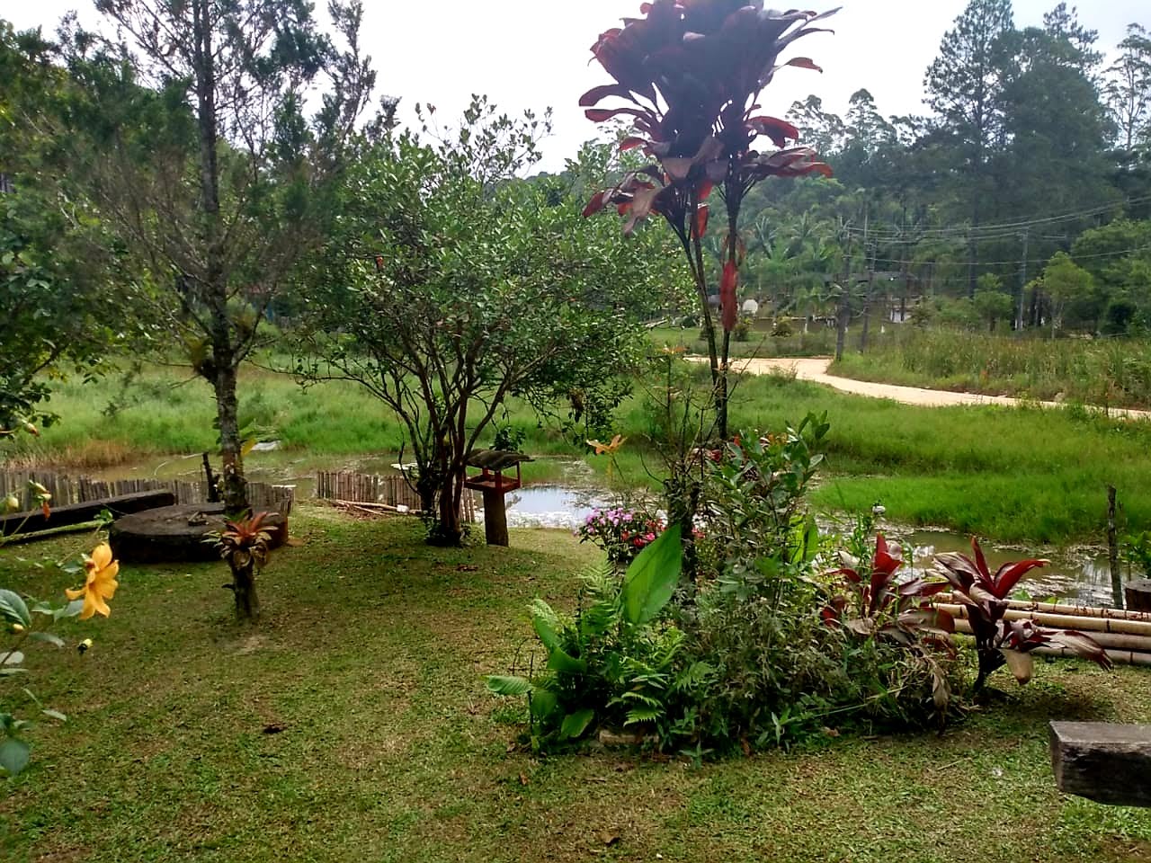 imagem do im�vel 768